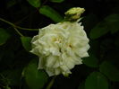 DSCN7912