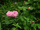 DSCN7919
