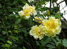 DSCN7928