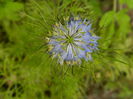 DSCN7941