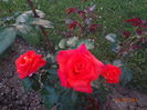 DSC00057