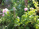 DSC03799