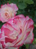 DSC03802