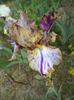 DSC03805