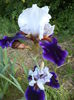 DSC03806