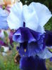 DSC03809