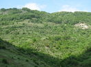 DSC00755