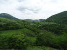 DSC00948