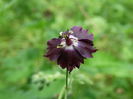 DSC00510