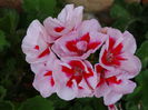 DSC00857