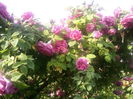 Photo3821