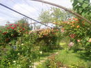 Photo3825