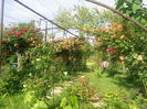 Photo3826