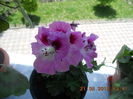 DSCN4348
