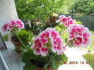 DSCN4349