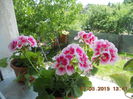 DSCN4350
