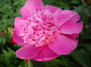 DSCN7154
