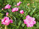 DSCN7169