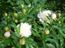 DSCN7149