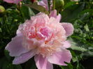 DSCN7155