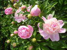 DSCN7156