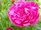 DSCN7159