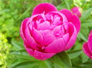 DSCN7160