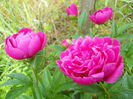 DSCN7162