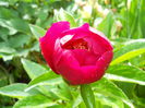 DSCN7166