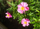 DSCN7176