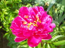 DSCN7173