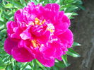 DSCN7177
