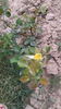 20150525_121134