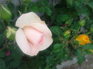 20150525_165733