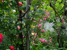 DSCN7983