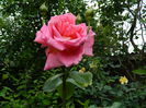 DSCN8041
