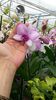 20150513_153131