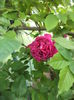 DSC03860