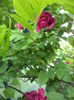 DSC03861