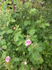 DSC03870