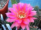 DSC08507