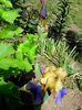 IMG_20150525_123435
