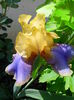 IMG_20150525_123509