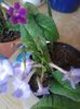 20150523_200034