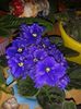 20150523_200056