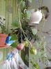 20150523_200109