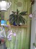 20150523_200234