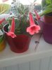 20150523_203117