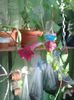 20150525_071848
