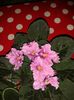 20150525_195621